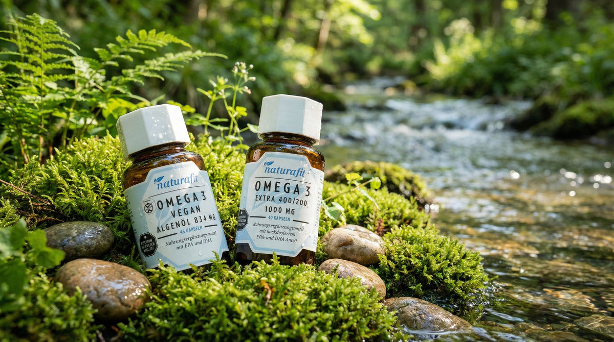 2 Apothekergläser mit Omega-3-Fettsäure produkten arrangiert in an einem Bachlauf