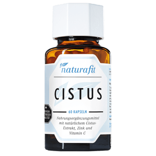 cistus